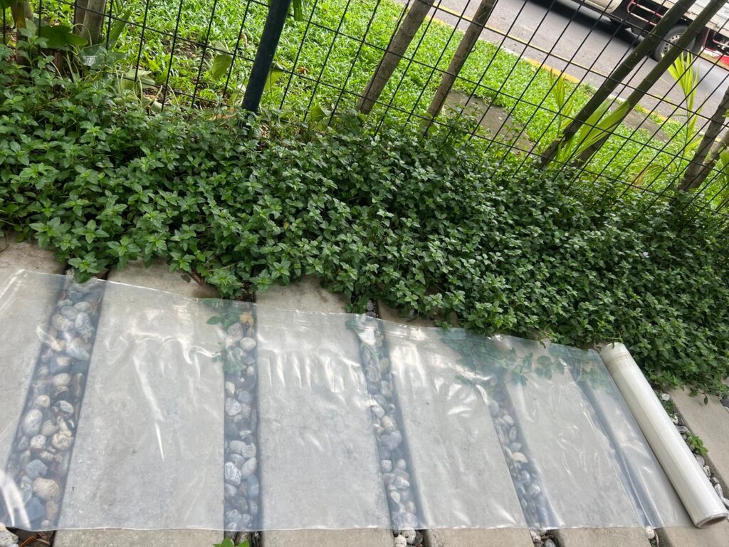 ม้วนพลาสติกสีใส LDPE