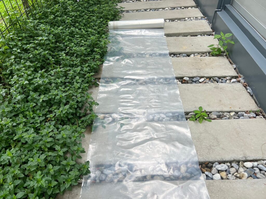 ม้วนพลาสติกสีใส LDPE