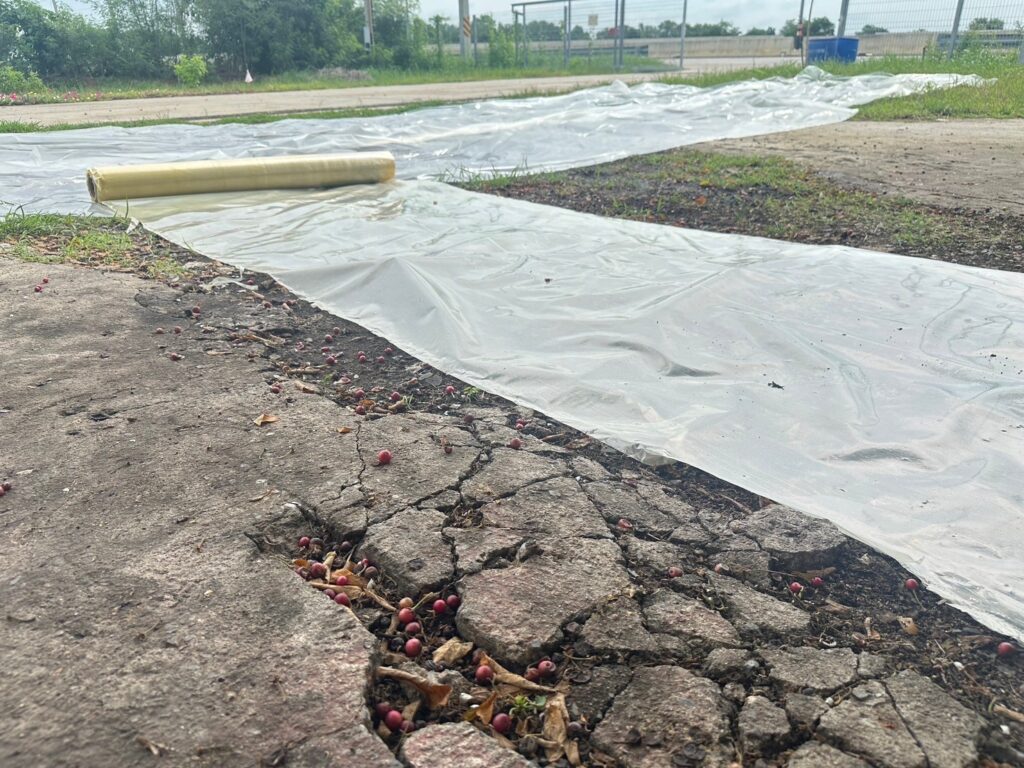 ENDUPAK : ม้วนปูพื้นก่อนเทคอนกรีต ENDUPAK : ม้วนปูพื้นก่อนเทคอนกรีต