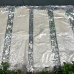 พลาสติกชนิด LDPE รูปแบบม้วน