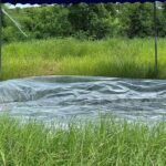 ม้วนพลาสติกปูพื้นในการจัดสวน